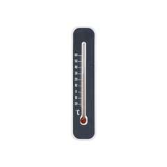 Thermomètre en plastique noir 14cm