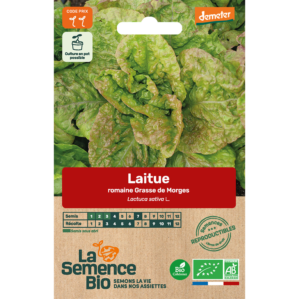 Graines potagères laitue Romaine Grasse de Morges Bio en sachet