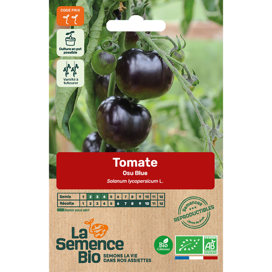 Graines potagères tomate Osu Blue Bio en sachet