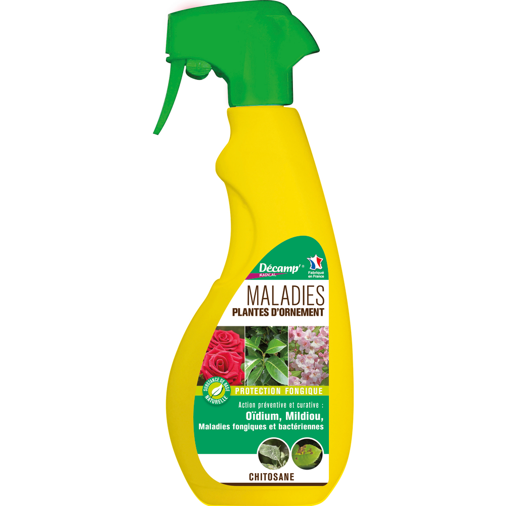 Fongicide de base: Plantes d'ornement
