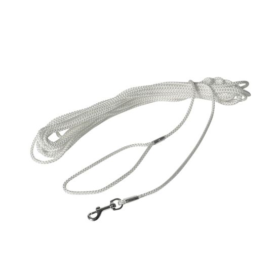 Longe cordeau pour chien nylon 15m Blanc