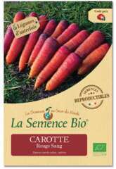 Graines potagères carotte Rouge Sang Bio en sachet