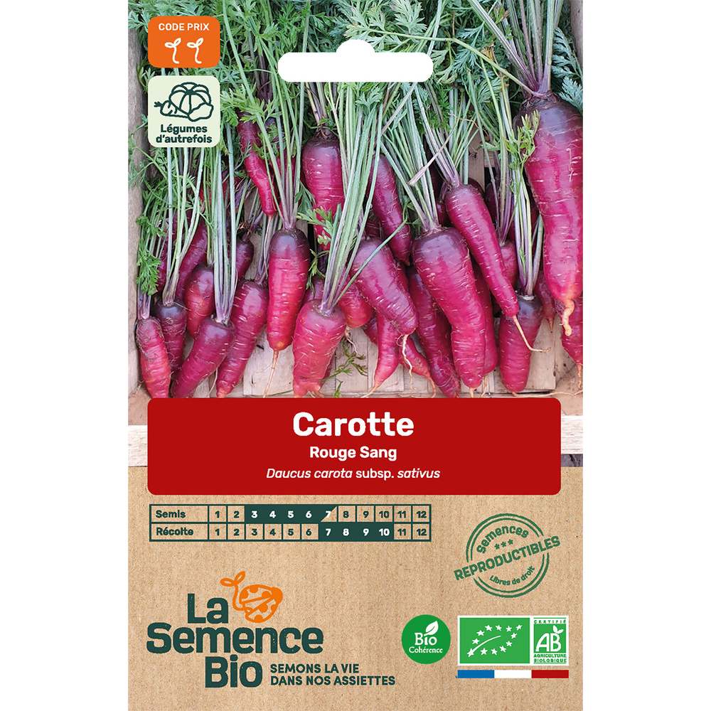 Graines potagères carotte Rouge Sang Bio en sachet