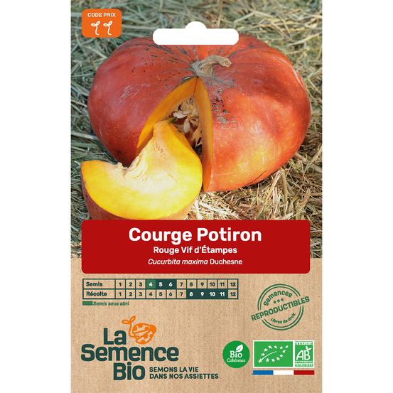 Graines potagères Courge rouge Vif d'Etampes Bio