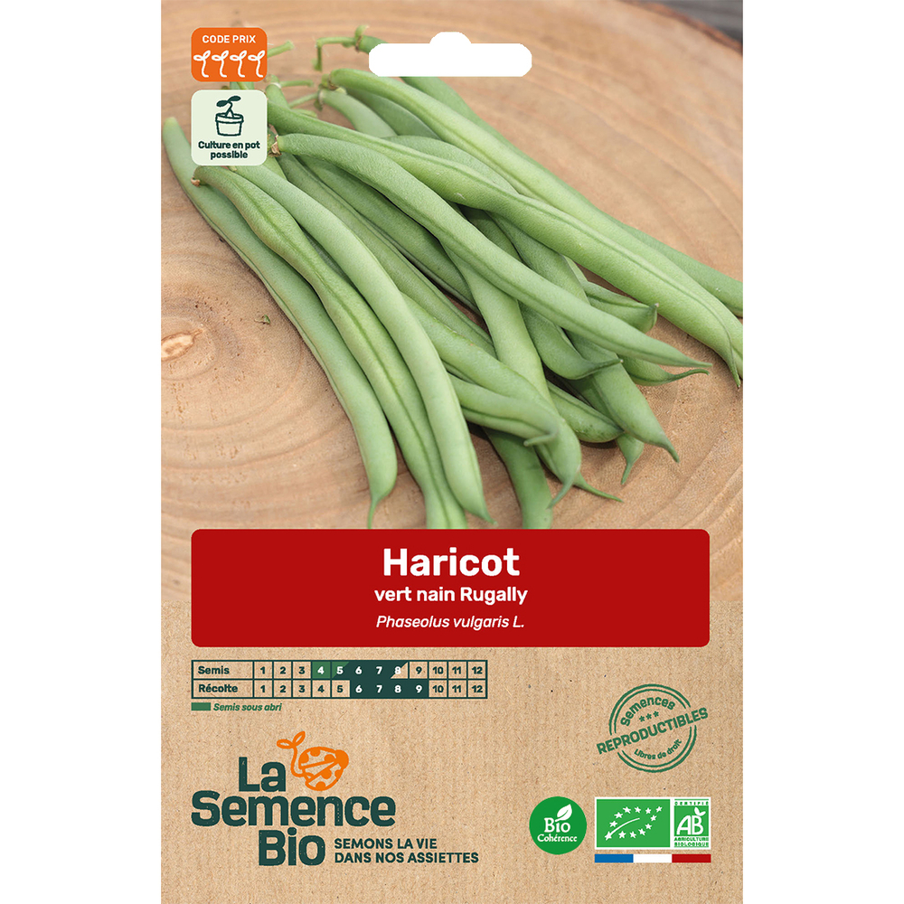 Graines potagères haricot vert nain Rugally Bio en sachet