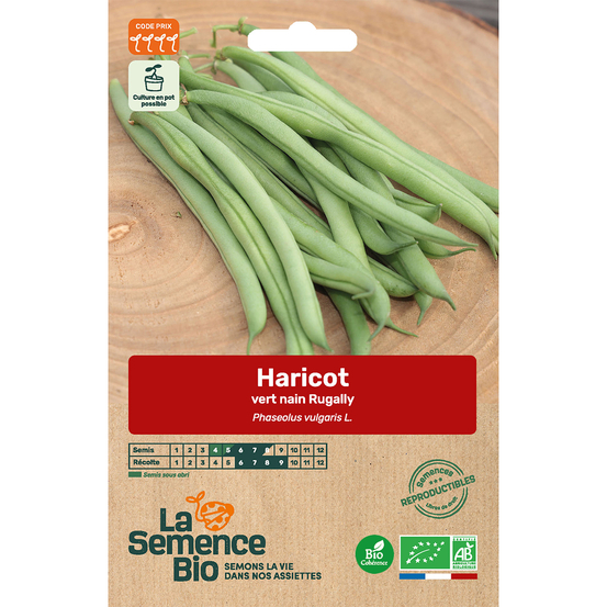 Graines potagères haricot vert nain Rugally Bio en sachet