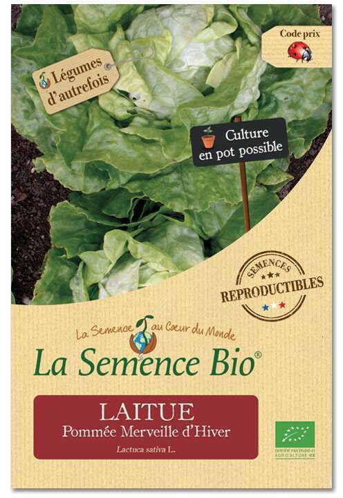 Graines potagères laitue Pommée Merveille d'Hiver Bio en sachet