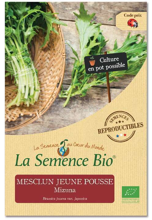 Graines potagères Mesclun Jeune Pousse Mizuna Bio en sachet