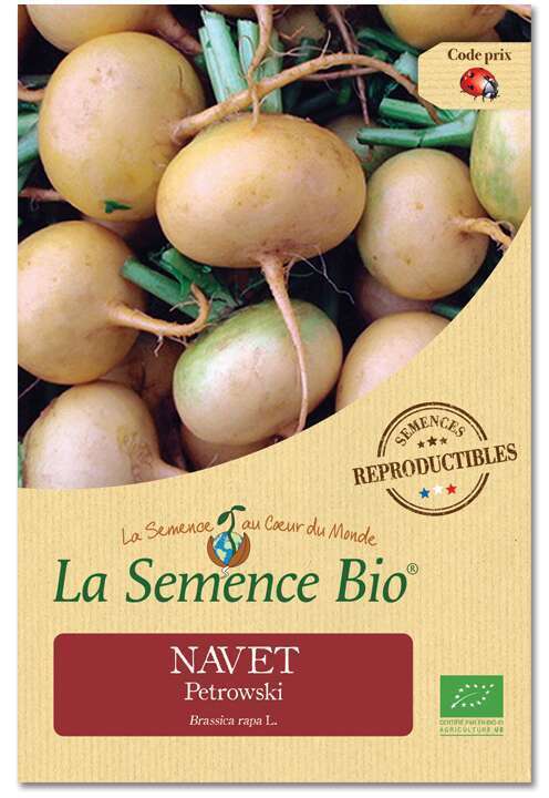 Graines potagères navet Ptrowski Bio en sachet