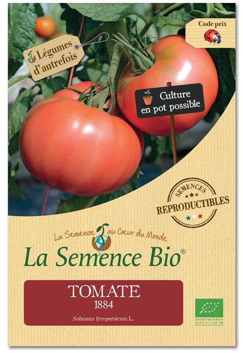 graines de tomates heinz 1370 vendu en sachet de 30 graines en procédé bio 