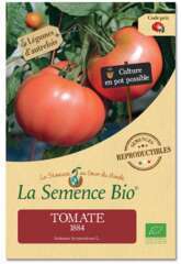 Graines potagères tomate 1884 Bio en sachet