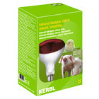 Lampe Kerbl IR 150W rouge, verre de sécurité
