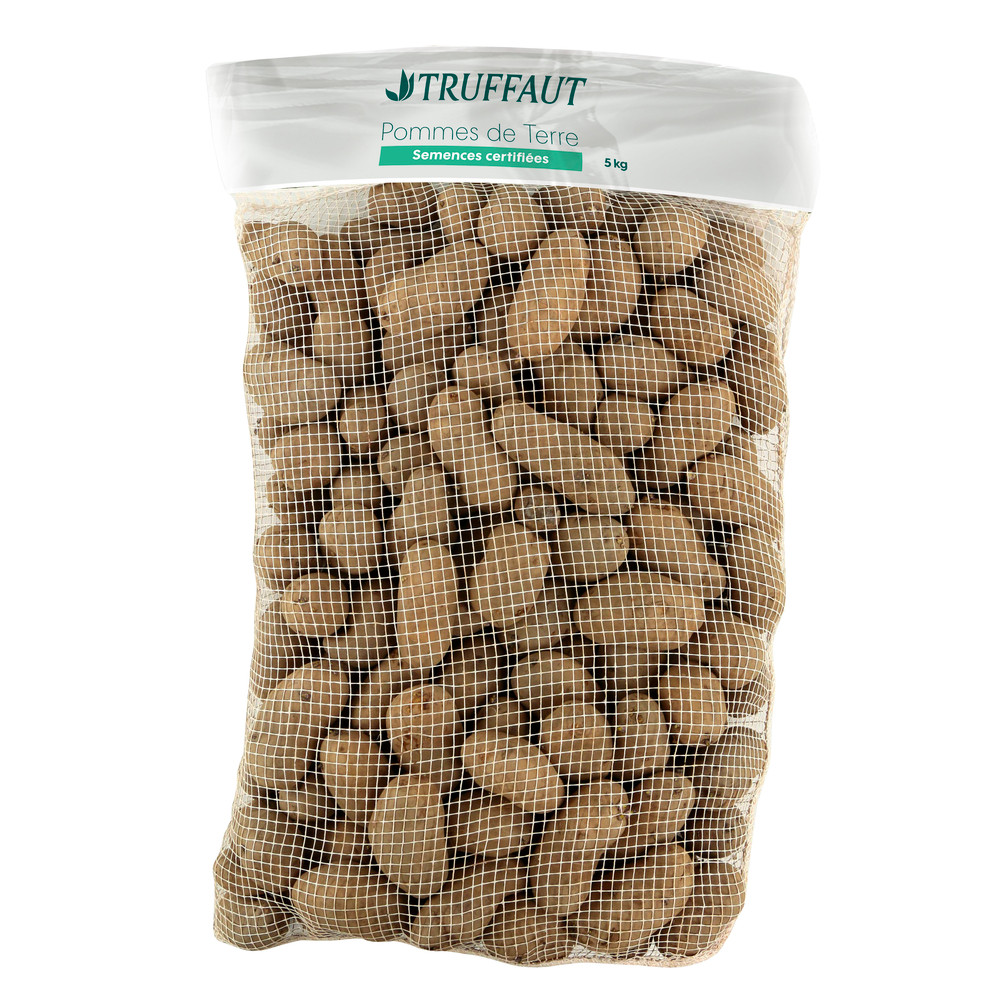 PDT BINTJE 35/45 SAC 5KG-(696839)