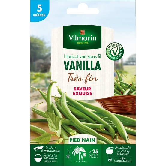 Graines de haricot nain Vert Vanilla en boite