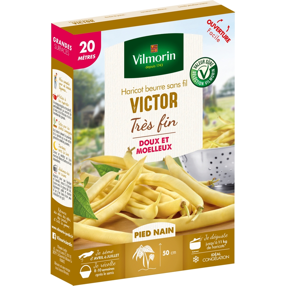 Graines de haricot nain Beurre Victor en boite