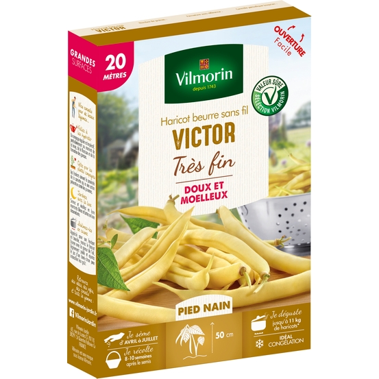 Graines de haricot nain Beurre Victor en boite