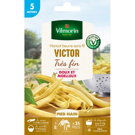 Graines de haricot nain Beurre Victor en boite