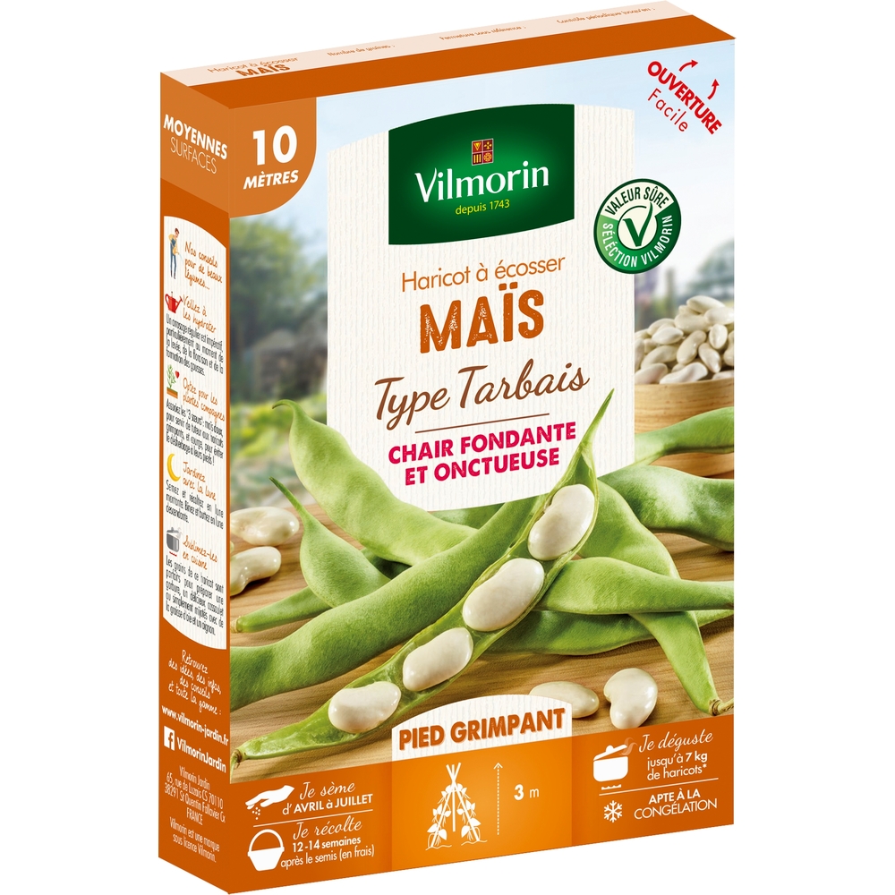 Graines de haricot Grimpant à Ecosser Maïs (type Tarbais) en boite