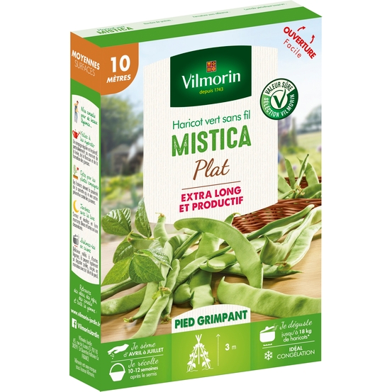 Graines de haricot Grimpant Plat Vert Mistica en boite