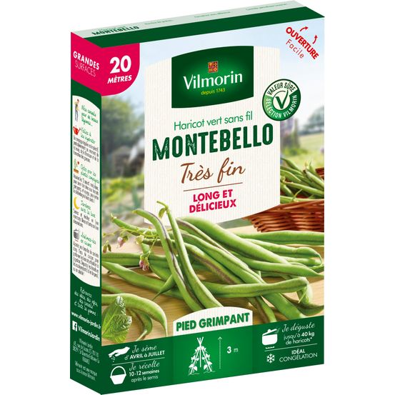 Graines de haricot Grimpant Vert Montebello - 20 M en boite
