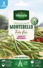 Graines de haricot Grimpant Vert Montebello - 5 M en sachet