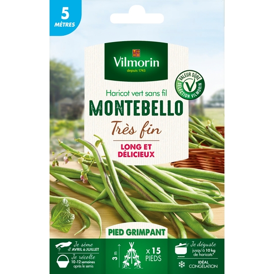 Graines de haricot Grimpant Vert Montebello - 5 M en sachet