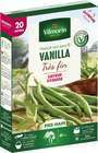 Haricot Nain Vert Vanilla 8