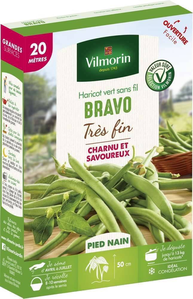 Haricot Nain Vert Bravo