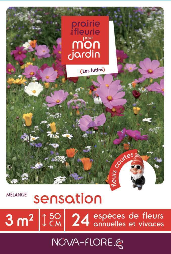 MÃ©lange court Sensation : boite