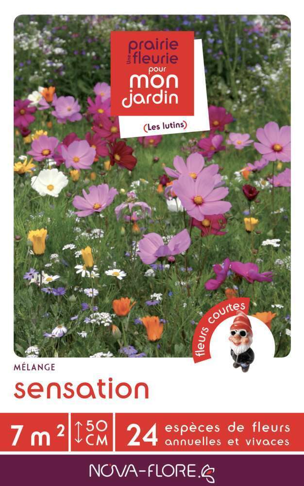 MÃ©lange court Sensation : boite