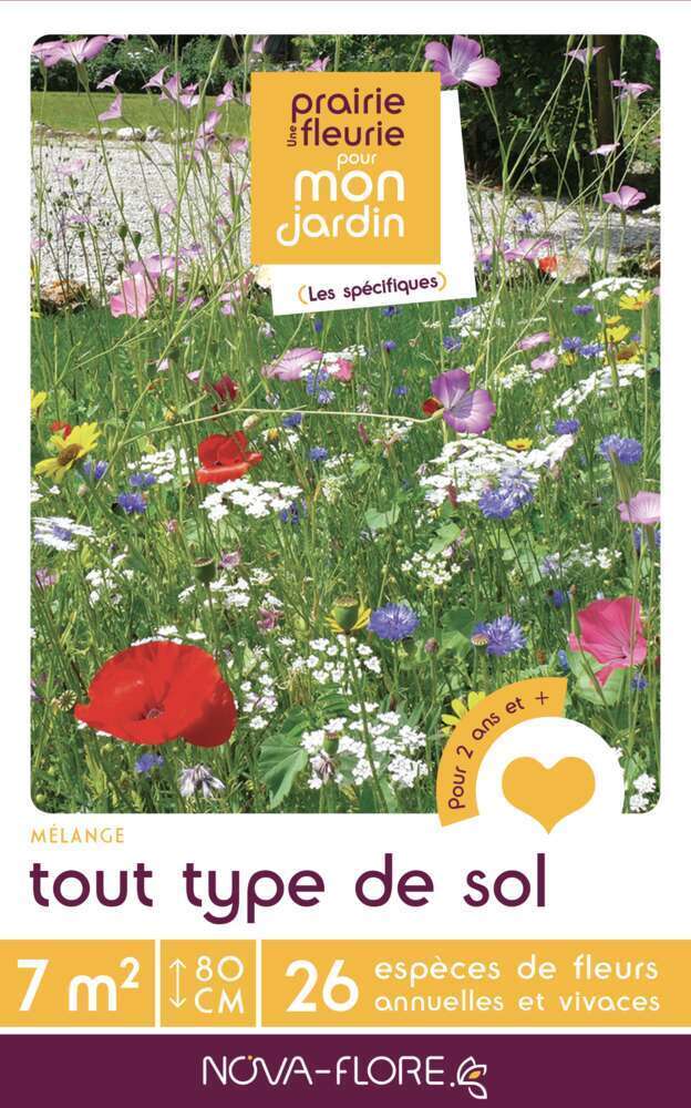Prairie fleurie pour Tout Type de Sol : boite