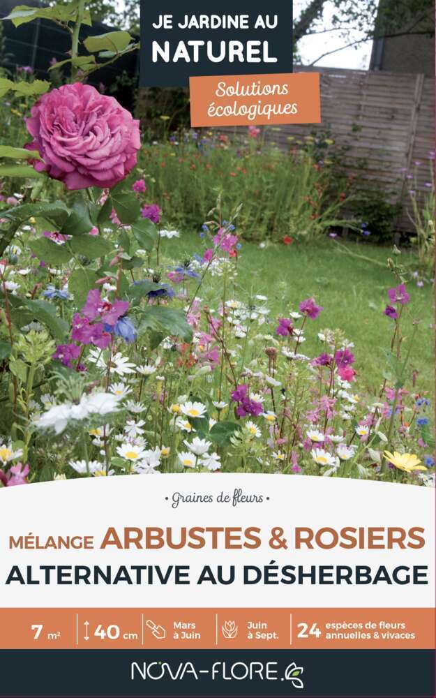 MÃ©lange spÃ©cifique arbustes et rosiers