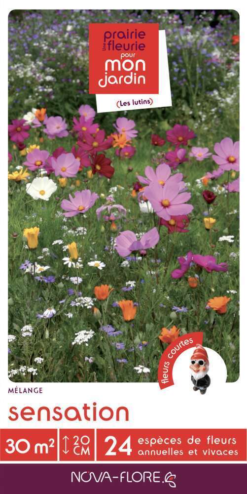 MÃ©lange court Sensation : boite