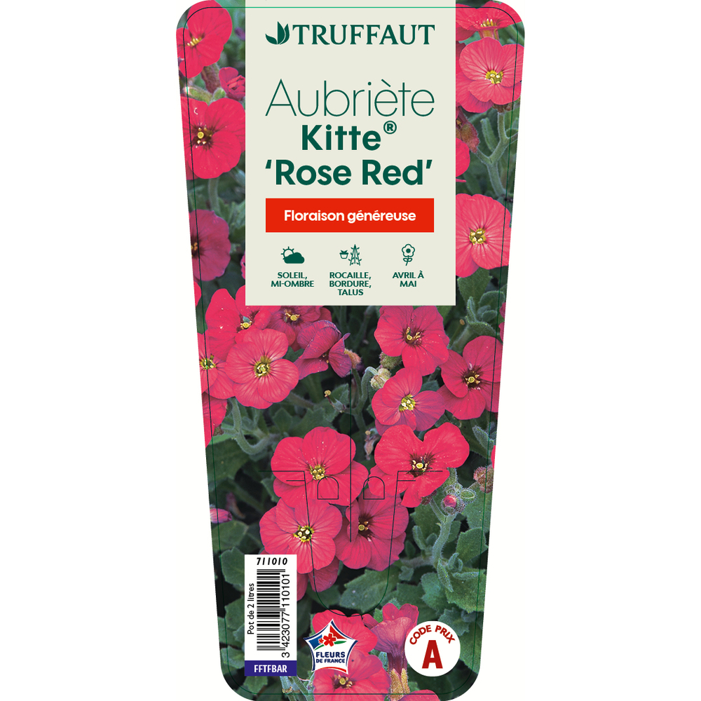 AubriÃšte Kitte Rose RedÂ®: C2L