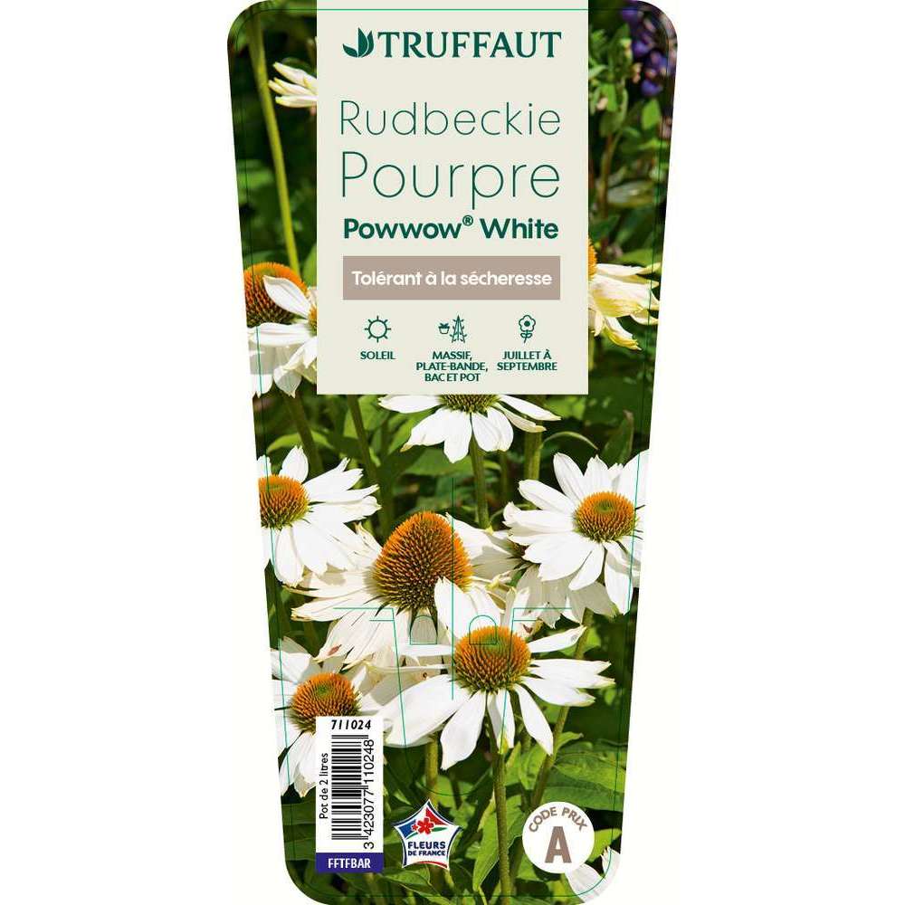 ECHINACEA P.W.WHITE C 2L-(711024)