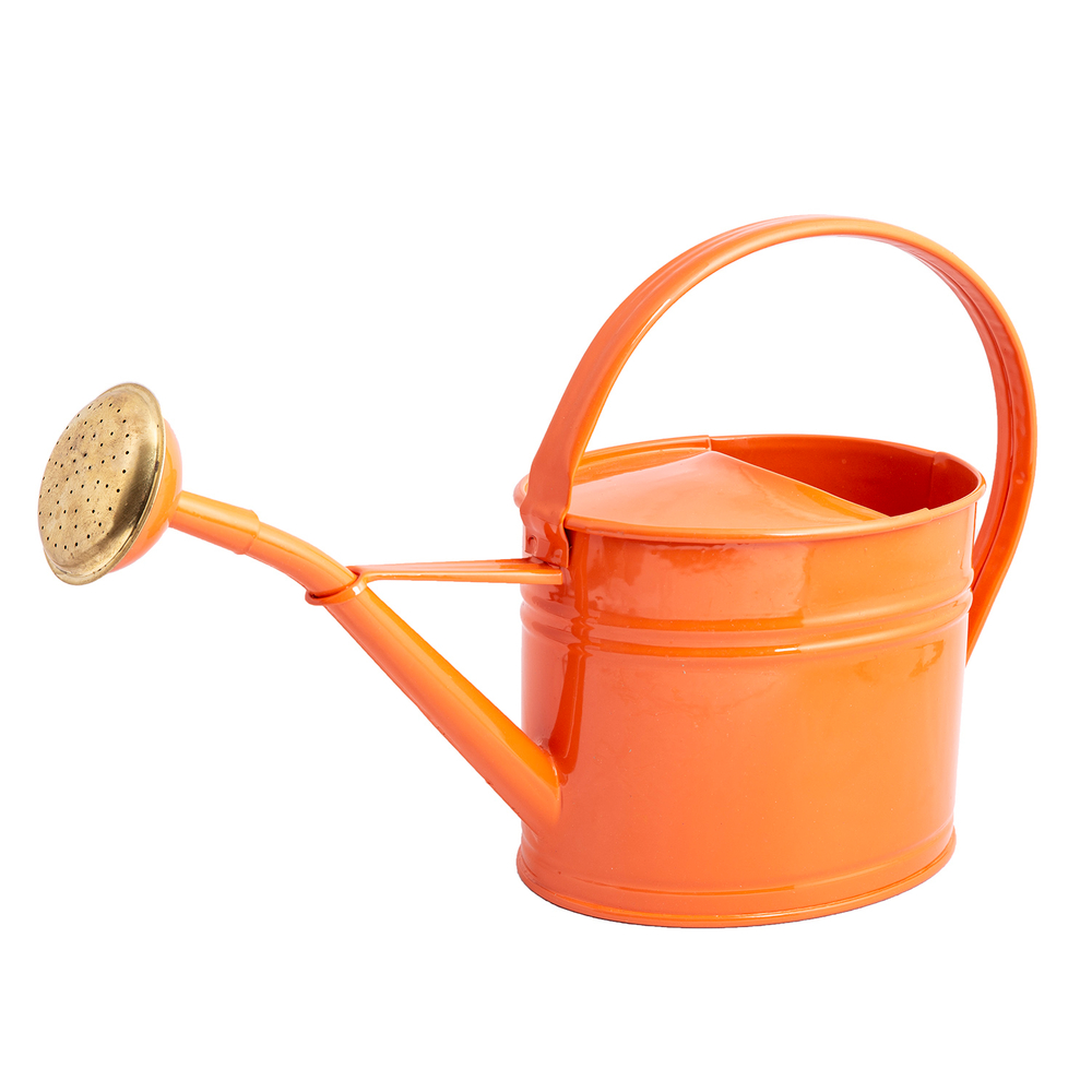 ARROSOIR 1L75 OVALE RGE CORAIL-(712225)