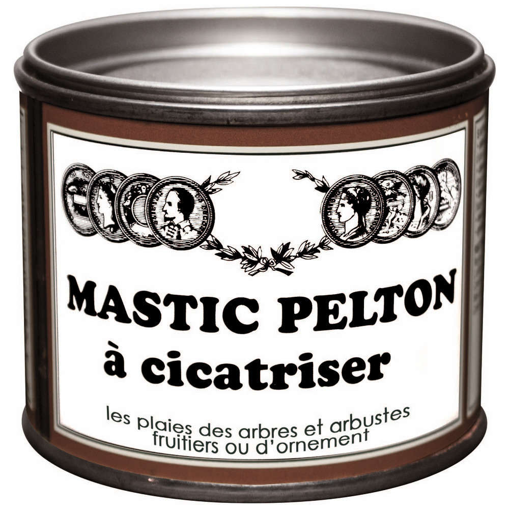 Mastic Pelton à cicatriser, 400g Pelton