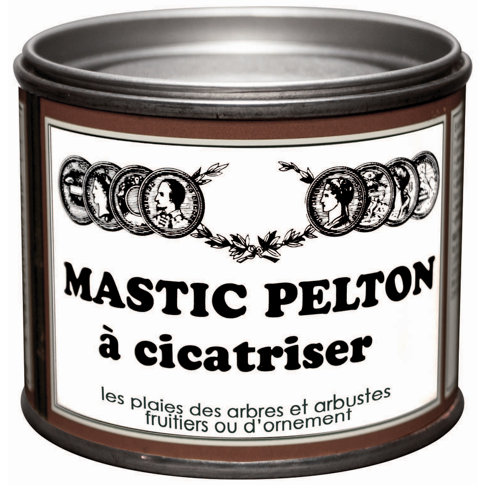 Mastic Pelton à cicatriser, 400g