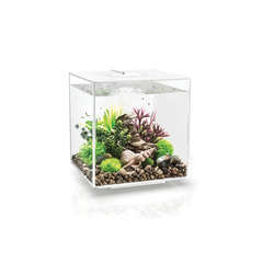 Aquarium biOrb Cube MCR 30 litres : blanc