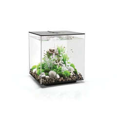 Aquarium biOrb Cube MCR 60 litres : noir