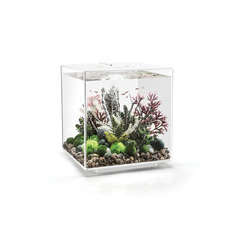 Aquarium biOrb Cube MCR 60 litres : blanc