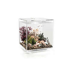 Aquarium biOrb Cube MCR 60 litres : transparent