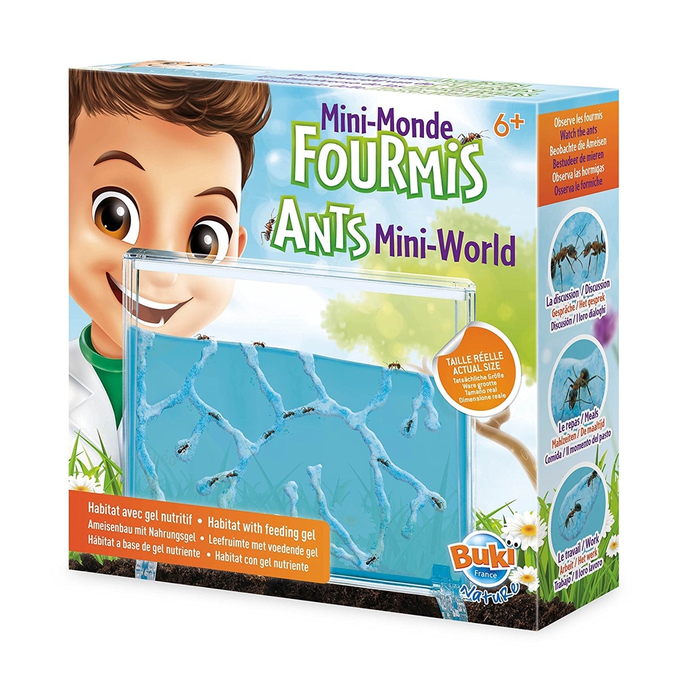 Coffret: Mini monde des fourmis