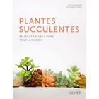 PLANTES SUCCULENTES-(712787)
