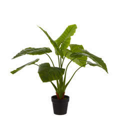 Plante artificielle : Pot Taro D.100 x H.100 cm