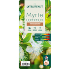 Myrtus communis : pot de 3L