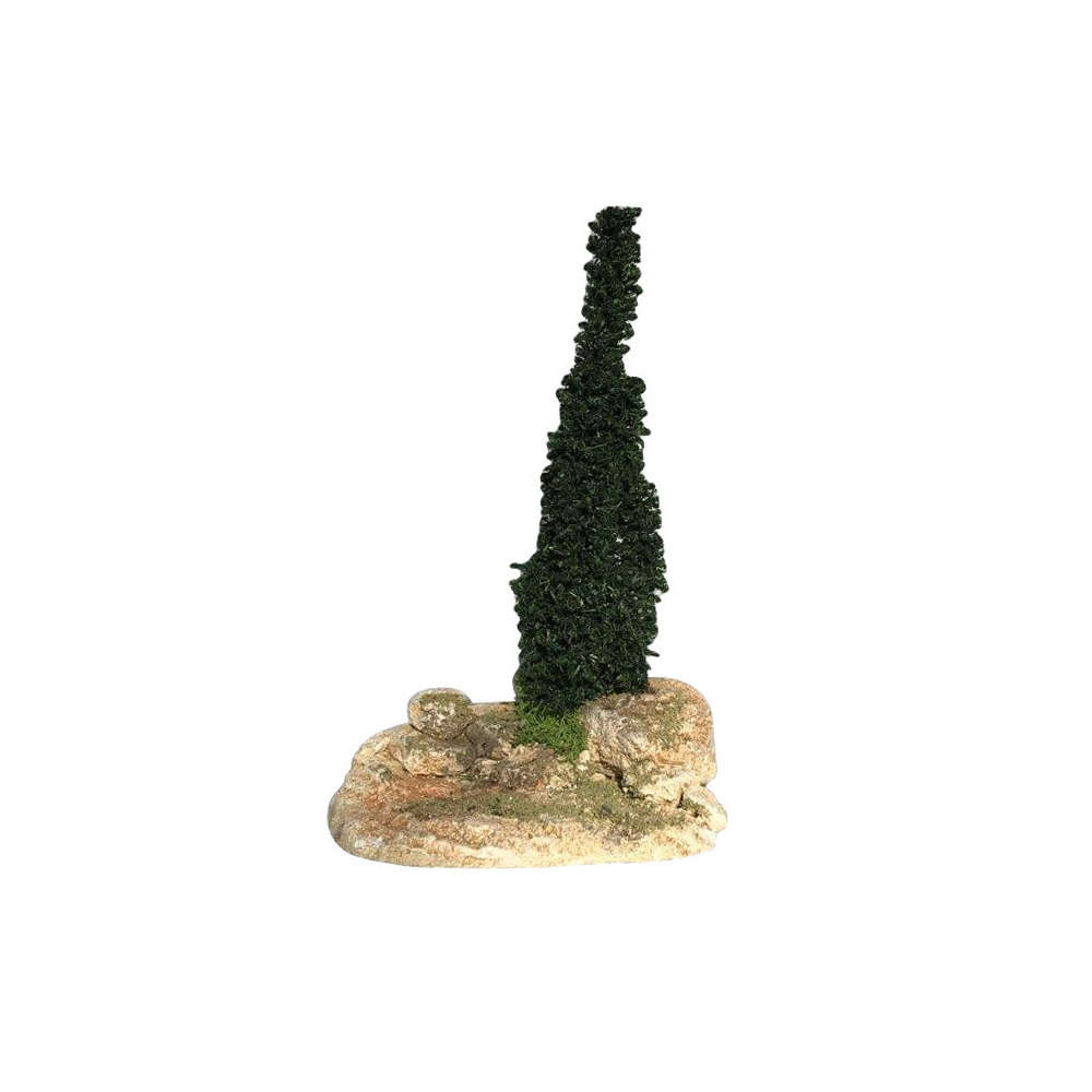 ARBRE CYPRES-(721775)
