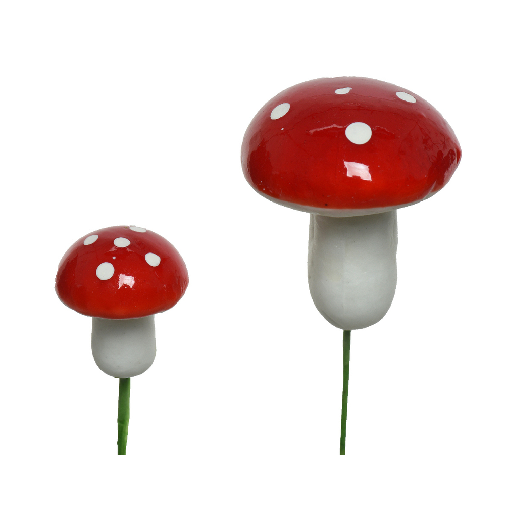 Boîte, champignon en mousse, coloris rouge et blanc