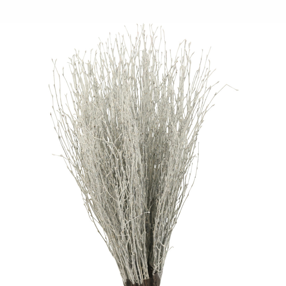 Bouleau naturel, 5 tiges, coloris blanc - H.100cm