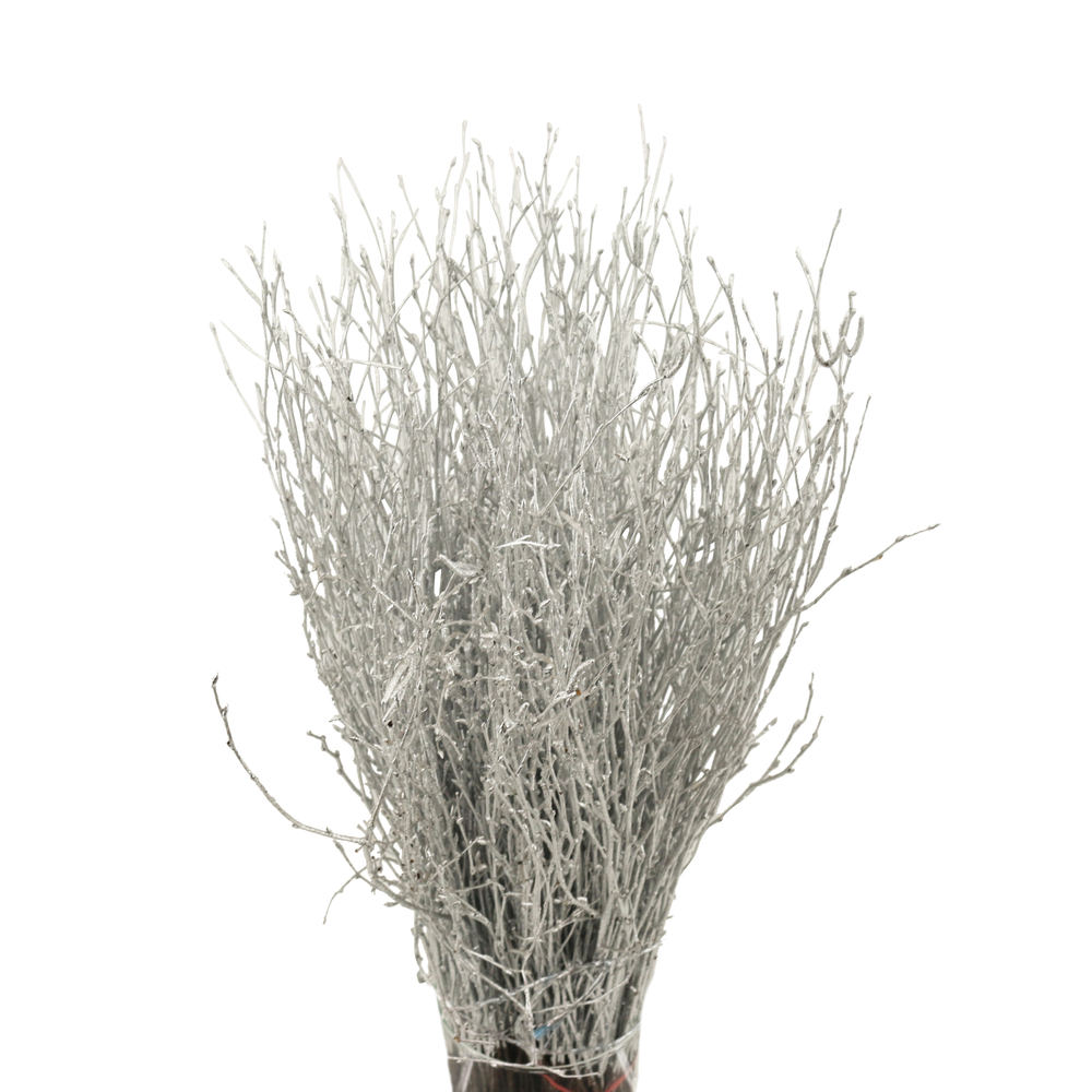 Bouleau naturel, 5 tiges, coloris argent - H.100cm